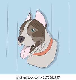 portrait of a dog on the wall background, vector.