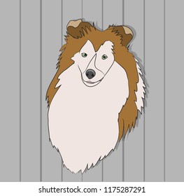 portrait of a dog on the wall background, vector, looks