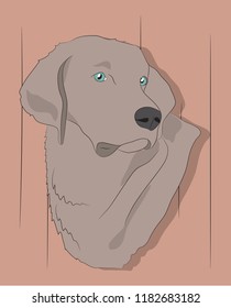 portrait of a dog on the wall background, vector, looks