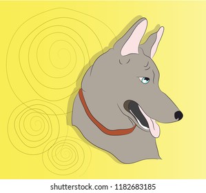 portrait of a dog on the wall background, vector, looks