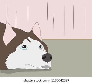 portrait of a dog on the wall background, vector, looks