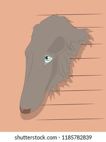 portrait of a dog on the wall background, vector, looks