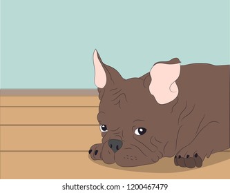 portrait of a dog on the wall background, vector, looks