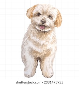 Portrait of a dog painted in watercolor on a white background. svg