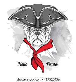 Portrait of dog in a pirate hat. Vector illustration.
