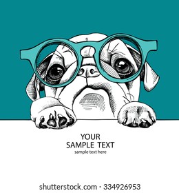 Portrait dog Pug in the glasses. Vector illustration.