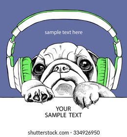 Portrait dog Pug in the headphones. Vector illustration.