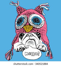 Portrait of a dog Pug in pink owl hat with ear flaps on blue background. Vector illustration.