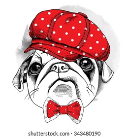 Portrait dog Pug in red cap and tie. Vector illustration.