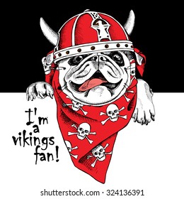 Portrait of a dog Pug in red viking helmet with horns and in neckerchief with image skulls. Vector illustration.