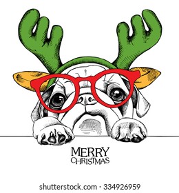 Portrait dog Pug in a reindeer antlers and with glasses. Vector illustration.