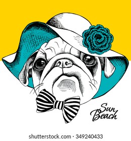 Portrait of a dog pug in summer sun hat with knitted flower. Vector illustration.