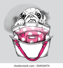 Portrait dog Pug with the woman's bag. Vector illustration.