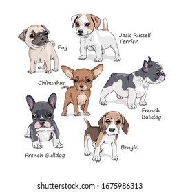 Porträt von Hundewelpen. Set von lustigen Cartoon-Zeichen. French Bulldog, Beagle, Jack Russell Terrier, Chihuahua, Pug. Handgezeichneter Stildruck. Vektorillustration.