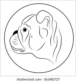 Portrait of a dog, puppy English bulldog. Vector drawing