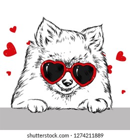 Portrait of a dog or puppy with glasses in shape of heart. Vector illustration for greeting card or poster, print on clothes.