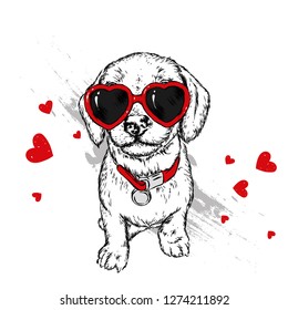 Portrait of a dog or puppy with glasses in shape of heart. Vector illustration for greeting card or poster, print on clothes.