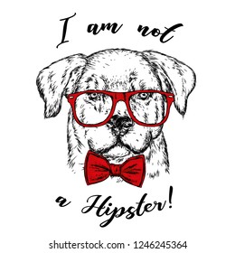 Portrait of a dog or puppy with glasses and tie. Vector illustration for greeting card or poster, print on clothes.
