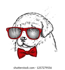 Portrait of a dog or puppy with glasses and tie. Vector illustration for greeting card or poster, print on clothes.
