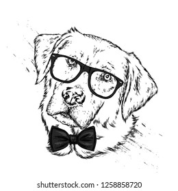 Portrait of a dog or puppy with glasses and tie. Vector illustration for greeting card or poster, print on clothes.
