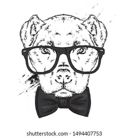 Portrait of a dog or puppy with glasses and tie. Vector illustration for greeting card or poster, print on clothes.
