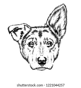 Portrait of a dog or puppy. Vector illustration for greeting card or poster, print on clothes.
