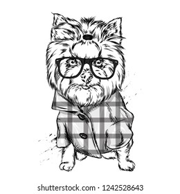 Portrait of a dog or puppy. Vector illustration for greeting card or poster, print on clothes. Yorkshire terrier with glasses and a shirt.
