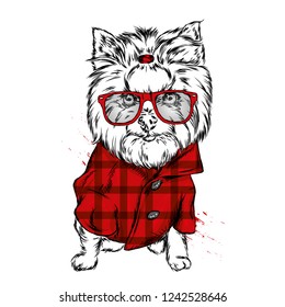 Portrait of a dog or puppy. Vector illustration for greeting card or poster, print on clothes. Yorkshire terrier with glasses and a shirt.
