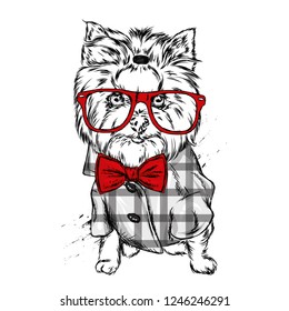Portrait of a dog or puppy. Vector illustration for greeting card or poster, print on clothes. Yorkshire terrier with glasses and a shirt.

