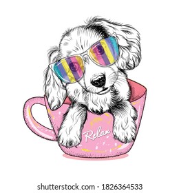 Portrait of dog in a rainbow color glasses. Cute Spaniel dog puppy. Wall sticker dog with a pink cup