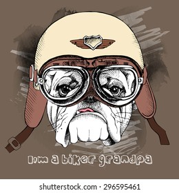 Portrait of a dog in retro motorcyclist helmet. Vector illustration.