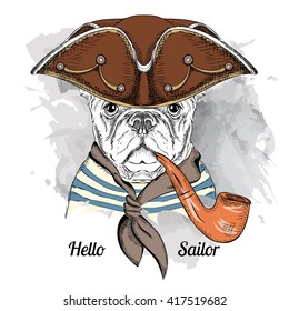 Portrait of dog in sailor hat and with tobacco pipe. Vector illustration.