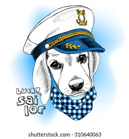 Portrait dog in a sailor's cap and checkered cravat on blue background. Vector illustration.