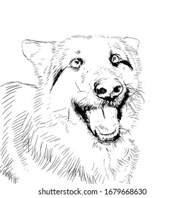 portrait dog shepherd illustration digital, print