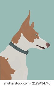 portrait of a dog of the Spanish Podenco breed