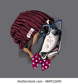 Portrait of a dog St. Bernard in a hipster knitted vinous hat and in a polka-dot tie and with glasses. Vector illustration.