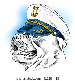 Portrait a dog Staffordshire bull terrier in a sailor's cap. Vector illustration.