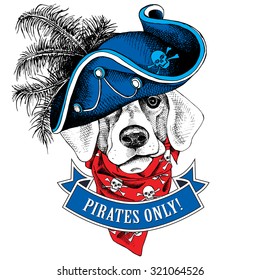 Portrait of a dog wearing blue pirate hat and red neckerchief with images a skull. Vector illustration.