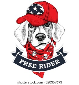 Portrait of a dog wearing red cap and neckerchief with images a skull. Vector illustration.