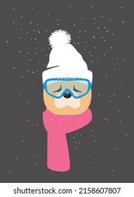 Portrait of dog, wearing something in winter like a man