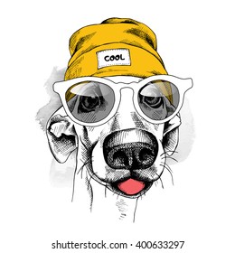 Portrait of dog in a yellow Hipster hat and with glasses. Vector illustration.