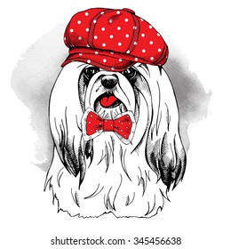 Portrait of a dog York wearing a red cap with tie. Vector illustration.