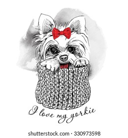 Portrait of a dog Yorkshire terrier with bow and in knitted scarf. Vector illustration.