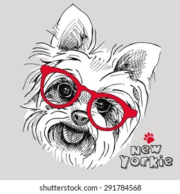 Portrait of a dog Yorkshire terrier with glasses. Vector illustration.