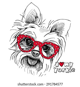 Portrait of a dog Yorkshire terrier with glasses. Vector illustration.
