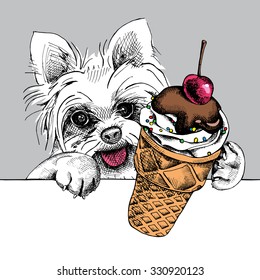 Portrait of a dog Yorkshire terrier with ice cream. Vector illustration.