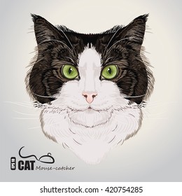 Portrait of  Domestic Cat, vector illustration, eps-10