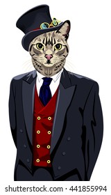 Portrait of a domestic tabby in a business suit and hat cylinder