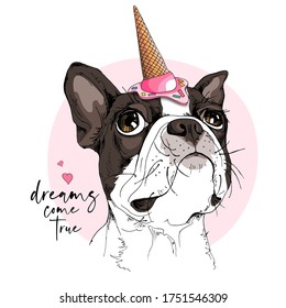 Portrait of the dreaming funny Boston Terrier dog in the pink Ice cream party hat. Dream come true - lettering quote. Humor card, t-shirt composition, hand drawn style print. Vector illustration.