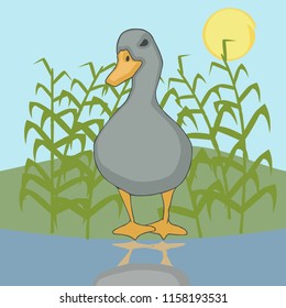 portrait of duck near the water, colorful vector cartoon